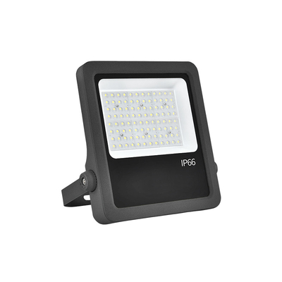 Aluminum Die-Casting 100W Led Flood Lights Indoor Garden Floodlight For Theme Park
