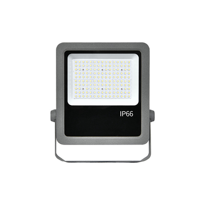 Aluminum Die-Casting 100W Led Flood Lights Indoor Garden Floodlight For Theme Park