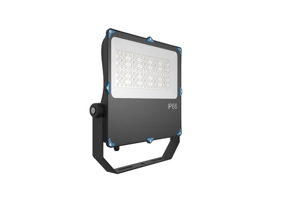 100W Outdoor LED Flood Lights Adjustable Mount 50w Led Floodlight For Gas Station